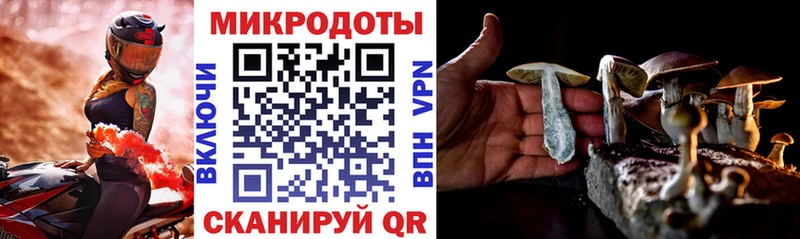 Галлюциногенные грибы Magic Shrooms  Бирюсинск 